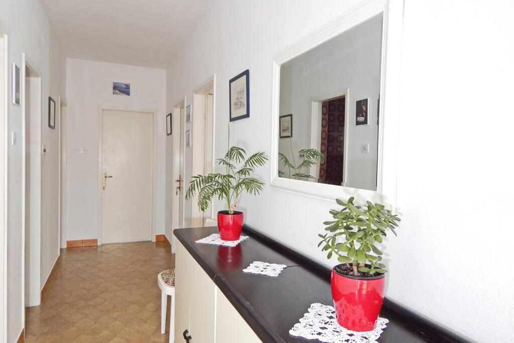 Apartment Eli Pag Town Exterior photo