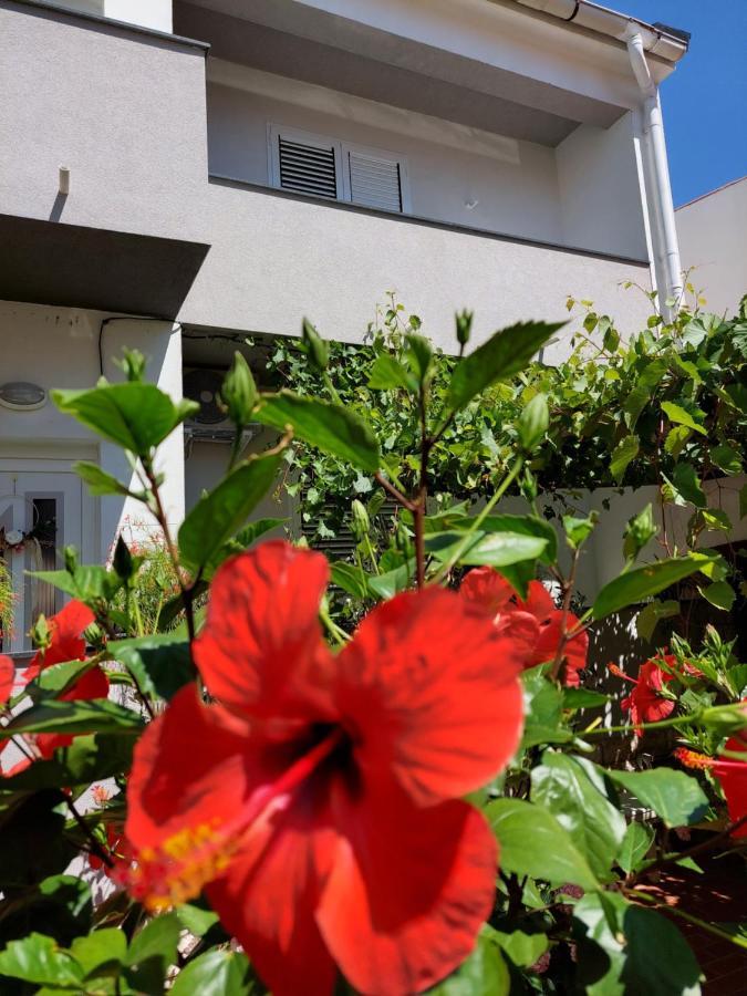 Apartment Eli Pag Town Exterior photo